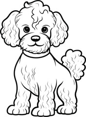 Wall Mural - Poodle. Dog, colouring book for kids, vector illustration