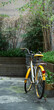 © 김유민 - 노란색 자전거