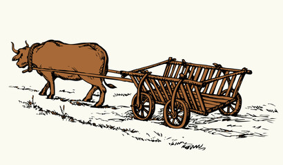 Empty cart drawn by oxen. Vector drawing