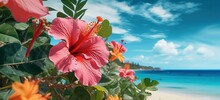 Summer Nature Background, Beautiful Tropical Island Beach Behind Beautiful Hibiscus Flower Bush, Generative Ai