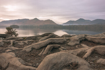 Wall Mural - lake in the mountains