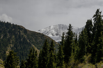 Wall Mural - Summer mountain landscape. Kyrgyzstan mountains. Issyk-Kul region.