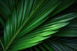 © Poprock3d - Palm leaf created with Generative AI technology