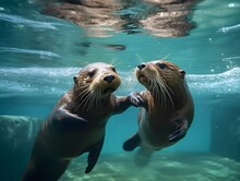 Playful Antics And Adorable Expressions Of A Family Of Otters, Capturing Their Lively Interactions And Endearing Charm With A Fast-action Lens, Showcasing The Joy, Generative AI