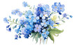 Watercolor painting of Forget-me-not on white paper Floral illustration Bouquet