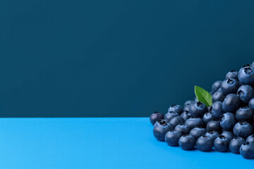 Canvas Print - Ripe blueberry on a solid  bright background with a copy space for text, isolated, Generative AI