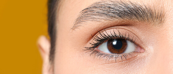 Wall Mural - Woman with brown eyes on yellow background, closeup