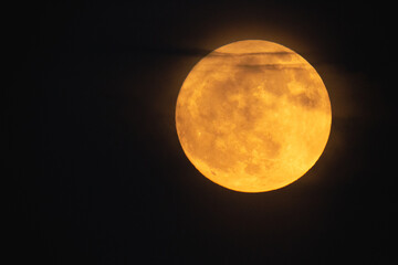 Wall Mural - super strawberry moon, reddish full moon on a summer night. full moon with clouds ahead
