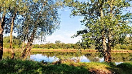 On the grassy bank of the river stand willows and poplars. On the opposite bank of the river are bushes and trees. The river is illuminated by the rays of the morning sun. The blue sky with clouds