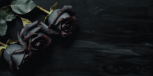 Top View Of Three Black Roses Lying On A Black Background Surface. Copy Space For Text. Creative Gothic Luxury Banner Template. Bouquet Of Black Roses. Generative AI Professional Photo Imitation.