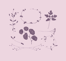 Wall Mural - Branches and leaves silhouettes set drawing on violet background