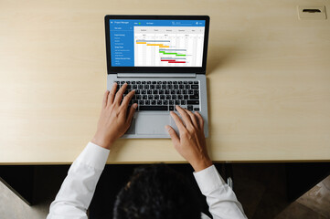 Poster - project planning software for modish business project management on the computer screen showing time