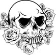 vector illustration of monochrome Skull with roses Flowers.