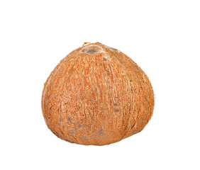 Poster - coconut  on    transparent png