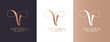 V and infinity logo. V letter logo template elements. personal monogram. Vector elegant logo.