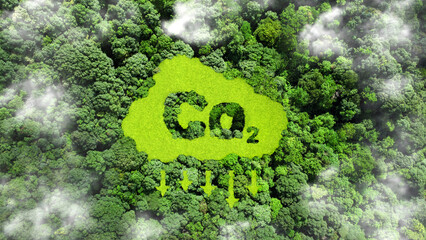Wall Mural - reduce co2 emission concept. co2 symbol on green grass in the forest. lower co2 emissions to limit g