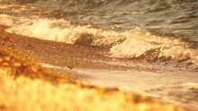 Small Sea Wave, Blurred Soft Foamy Waves Washing Golden Pebbled Beach On Sunset. Ocean Waves On Beach. Nobody. Holiday Recreation Concept. Abstract Nautical Summer Ocean Sunset Nature Background.
