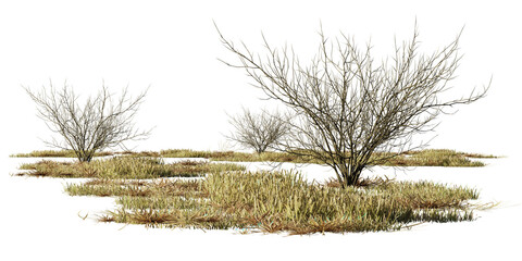 Wall Mural - dry bushes and grass, desert scene cut-out, isolated on transparent background