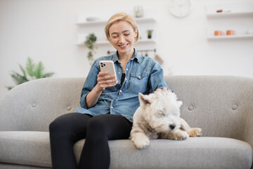 Wall Mural - Happy lady in denim shirt using cell phone while petting slowly white terrier on sofa in apartment interior. Delighted dog keeper texting message on modern gadget after pleasant doggy spa day.