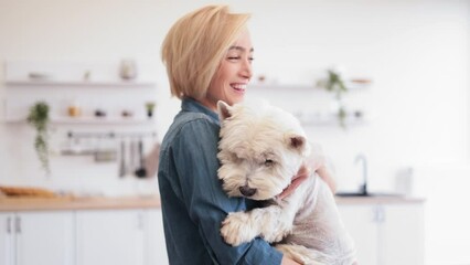 Wall Mural - Portrait of smiling blonde lady with West Highland White Terrier in arms posing on background of spacious kitchen. Happy caucasian pet owner rewarding good behavior during day with gentle hug.