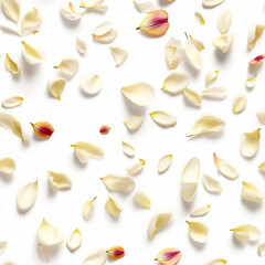 Naklejka na meble Seamless and tileable falling floating petals photo on white background