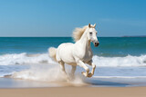 Fototapeta Konie - Magnificent white horse galloping freely on the beach. This artwork embodies the essence of grace, power, and untamed spirit. Ai generated