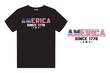 America Since 1776 T-Shirt Design