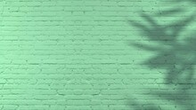 Shadow Of Bamboo Tree Moving Gently In The Wind On Green Painted Brick Wall Background, Backdrop