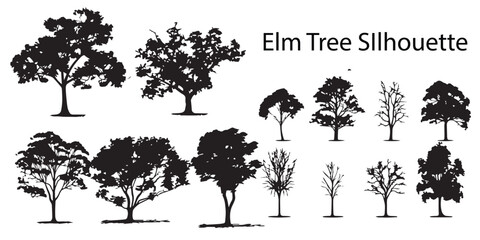 A set of silhouette willow tree vector design