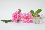 Rosa damascena. Damask rose. Oil-bearing rose. Bulgarian rose oil.	Organic. Rose water.