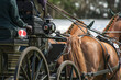 detail combined driving competition team carriage and horses