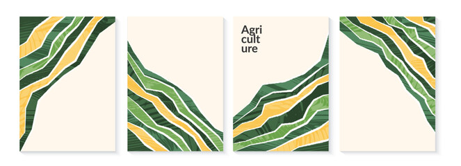 Wall Mural - Agriculture farm green poster design. Organic abstract field vector background. Agro landscape flyer. Agri business template. Eco farmland illustration set. Organic pattern card. Summer nature cover