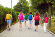 Group of kids on their way to school. Several children going to class together. Six male and female students with colorful backpacks walking along the park path. Back view, backside shot from behind