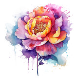 Fototapeta Kwiaty - Watercolor beautiful peony flower. Illustration AI Generative.