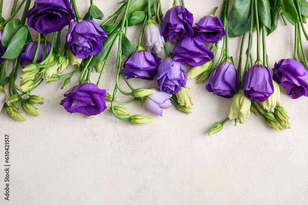 Beautiful eustoma flowers on light background, closeup