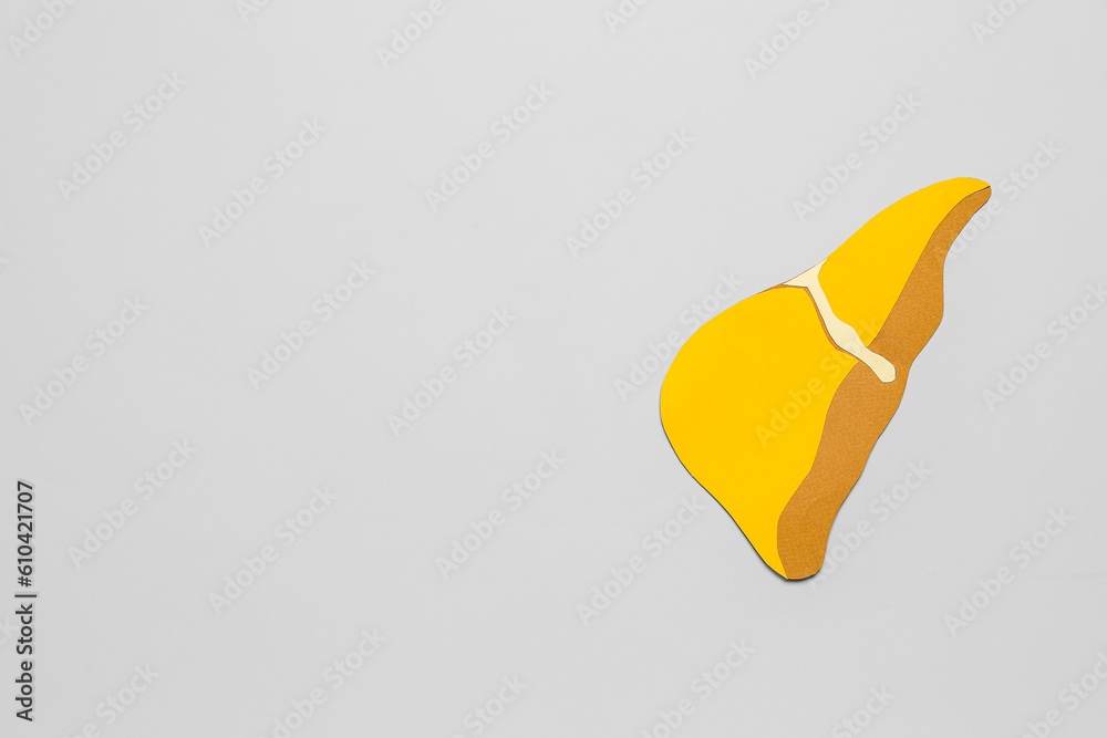 Yellow paper liver on grey background