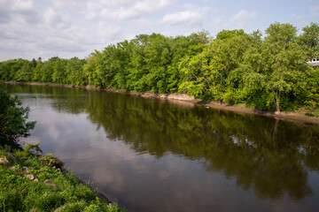 Wall Mural - river in the forest