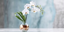 Beautiful Vase Of Orchid Flowers On The Table With Light Exposure AI Generative