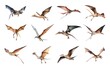 Pteranodon collection isolated on white background with AI generated.
