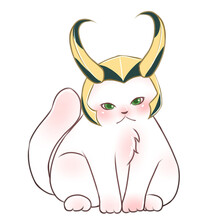 Loki Cat.
