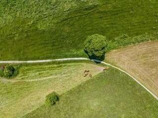 Sticker - Aerial view of rural road through farmland in Switzerland