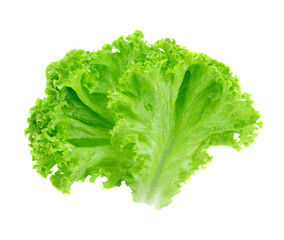 Sticker - Salad leaf. Lettuce transparent png