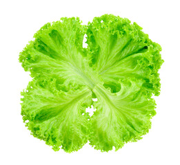 Sticker - green lettuce leaves transparent png