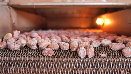 Canvas Print - precessing peanuts in a machine