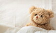 © Rawf8 - Teddy bear sick in the hospital