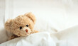 © Rawf8 - Teddy bear sick in the hospital