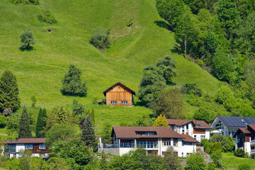 Wall Mural - Scenic view of village Bauen seen from passenger ship on Lake Lucerne on a sunny spring day. Photo taken May 22nd, 2023, Bauen, Canton Uri Switzerland.