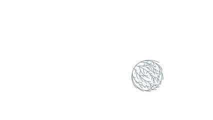 Fototapete - Tumbleweed rolling animation. Flat outline style icon 4K video footage for web design. Desert wind isolated colorful thin line animated object on white background with alpha channel transparency
