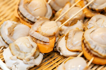 Fresh japanese scallop (Hotate) for grill