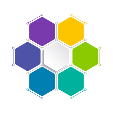 Business infographic template with step or option design. Infographics five options. Diagram with hexagons.